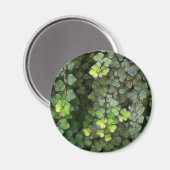 Ivy Vine 6 Magneet (Voorkant / Achterkant)