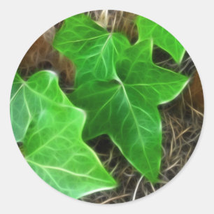 Ivy Vine op Palm Tree 5 Ronde Sticker
