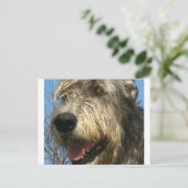 iw.png briefkaart (Staand voorkant)