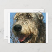 iw.png briefkaart (Voorkant / Achterkant)