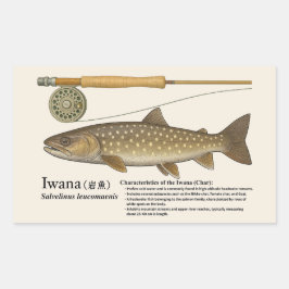Iwana (Salvelinus leucomaenis) – English Illust Rechthoekige Sticker