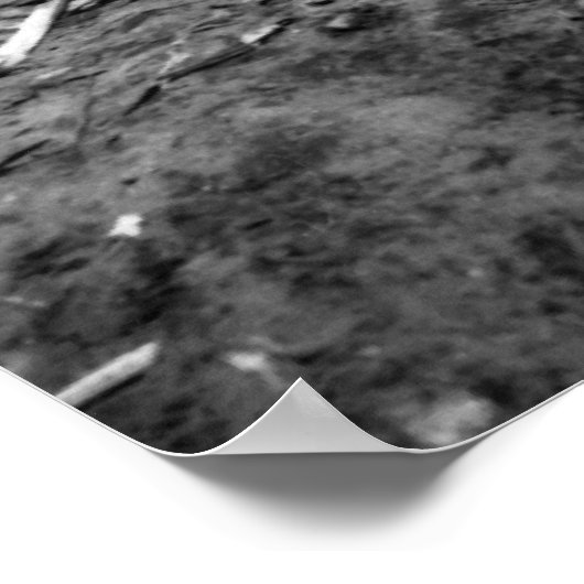 Iwo Jima Poster (Hoek)