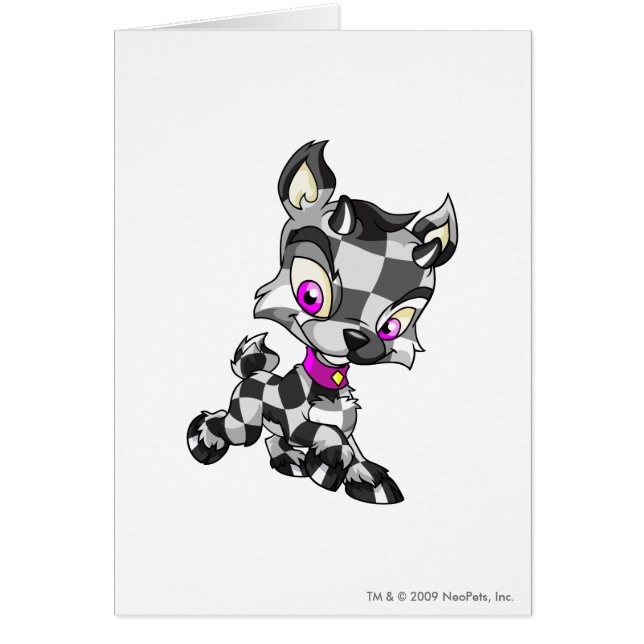 Ixi Checkered (Devant)