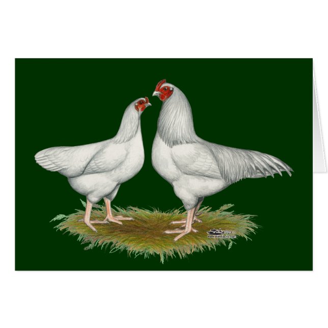 Ixworth Chickens (Voorkant Horizontaal)