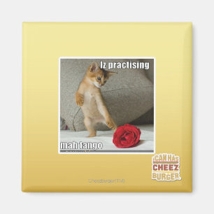Iz die mah tango oefent magneet