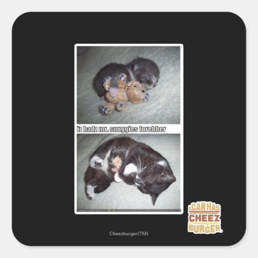 IZ Hadz Mr. Snuggies Forebber Vierkante Sticker (Voorkant)