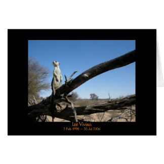 Izit - carte de légendes