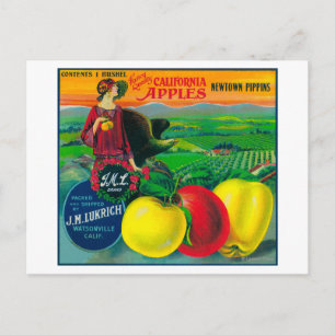 J.M.L. Apple Crate LabelWatsonville, CA Briefkaart