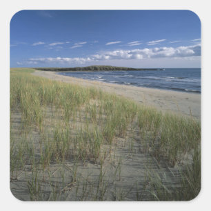 J.T. Chessman Provincial Park, duingras Vierkante Sticker