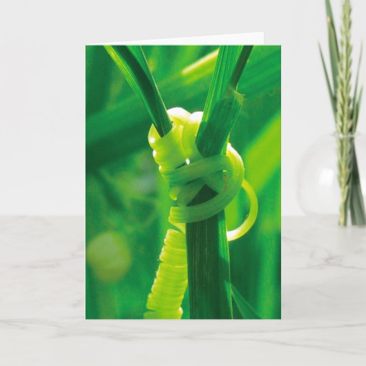 Ja, dat kan je! Rosie the Riveter Tendril Klimplan Kaart (Voorkant)