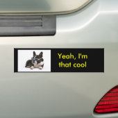 Ja, ik ben die coole bumpersticker (Op auto)