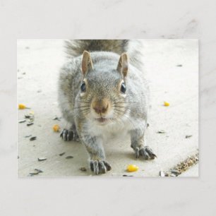 "Ja, ik zou graag wat eten" Briefkaart