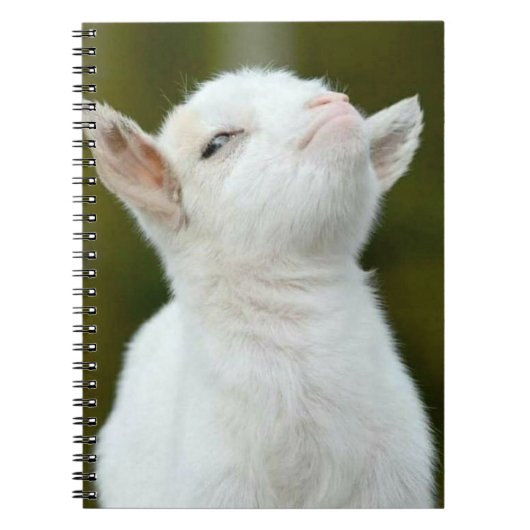 Ja Notitieboek (Voorkant)