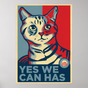 Ja, we kunnen LOLCAT afdrukken Poster