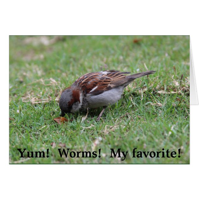 Ja!  Wormen! (Voorkant Horizontaal)