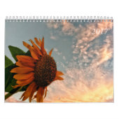 Jaar 2017 in afbeeldingen en vers kalender (Hoes)