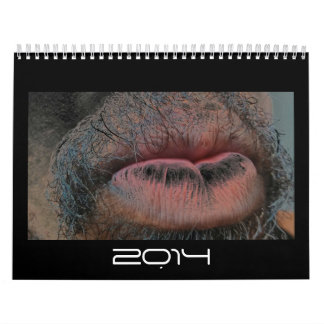 Jaar in jaar uit kalender