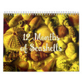 Jaar Lange Zeeschelp Fotografie Kalender (Hoes)