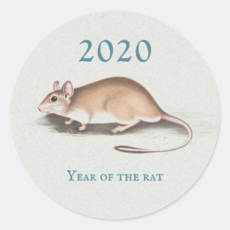 Jaar Rat 2020 Chinees Nieuwjaar  Muis Blauw Ronde Sticker