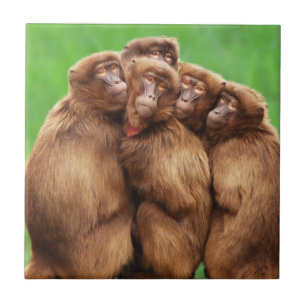 Jaar van de brandaap tegeltje