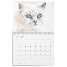 Jaar van de kattenkalender van kattentekeningen