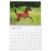 Jaar van de paardenkalender kalender (Feb 2026)