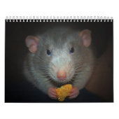 Jaar van de Rat Calander Kalender (Hoes)