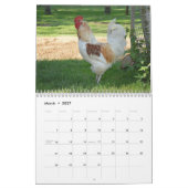 Jaar van de rooster kalender (Mar 2027)