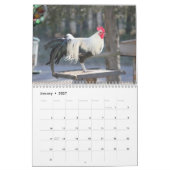 Jaar van de rooster kalender (Jan 2027)