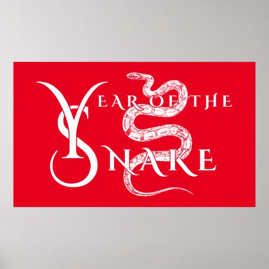 Jaar van de slang poster (Voorkant)