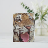 Jaar van het Briefkaart Tiger (Staand voorkant)