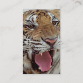 Jaar van het Visitekaartje Tiger (Achterkant)