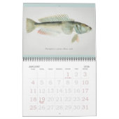 Jaarlijks  viskunst kalender (Jan 2026)