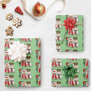 Jaarlijkse kerstfoto inpakpapier vel