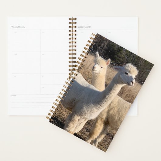 Jaarplanner - Alpakka's Planner (Display)