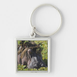 Jacana staat op de hippo's (Hippopotamus) Sleutelhanger