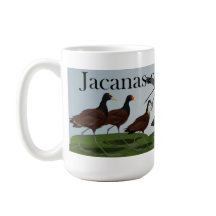 Jacanas van de wereld