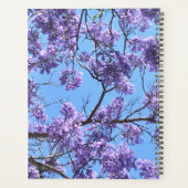 Jacaranda (Dos)