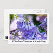 Jacaranda Blossom Briefkaart (Voorkant / Achterkant)