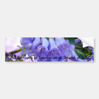 Jacaranda Blossom Bumpersticker