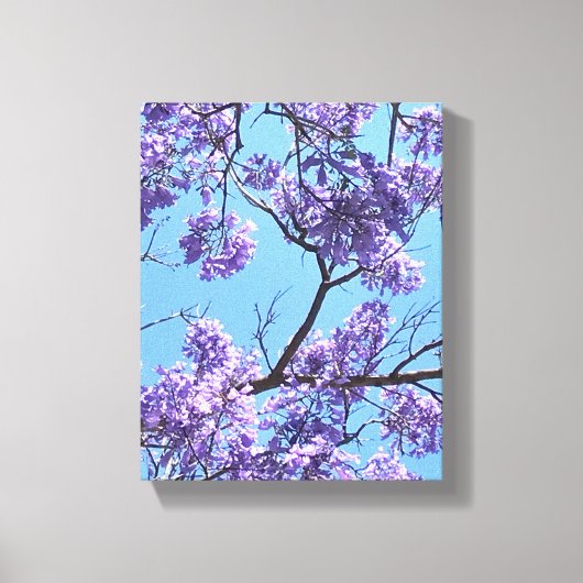 Jacaranda Blossom Canvas Afdruk (Voorkant)