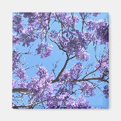 Jacaranda Blossom Magneet (Voorkant)