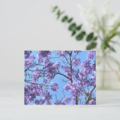 Jacaranda Briefkaart (Staand voorkant)