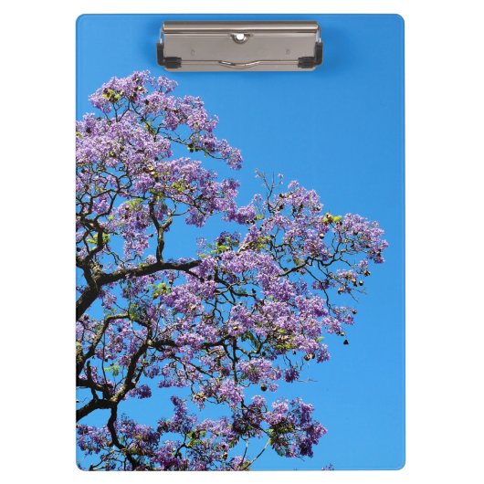 Jacaranda Klembord (Voorkant)