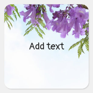 Jacaranda Purple bloemen bloeien op de boom Vierkante Sticker