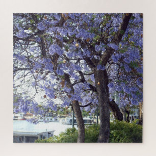 **"Jacaranda Reflections: woonboten op de Murray Legpuzzel