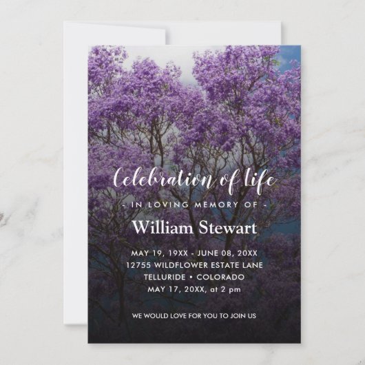 Jacaranda Tree Funeral | Viering van het leven Kaart (Voorkant)