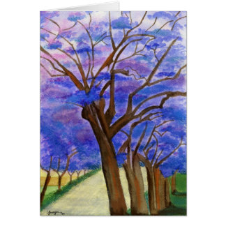 Jacarandas