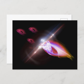 Jacht, diner, röntgenvis 1 briefkaart