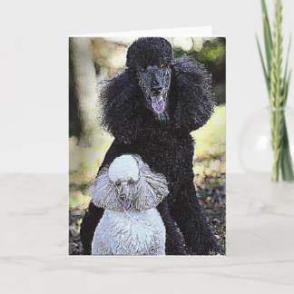 Jacht en Vriend Kaart